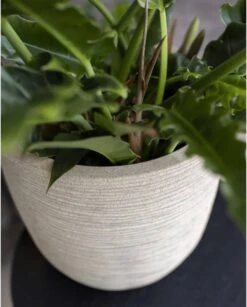 Capi Europe - Bloempot Bol Waste Rib NL - 35x34 - Terrazzo Beige - Voor Binnen En Buiten - KTBR932 -Tuingereedschaps Winkel 967x1200