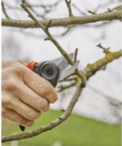 GARDENA - ExpertCut - Snoeischaar - 22 Diameter Tak 33 GARDENA - ExpertCut - Snoeischaar - 22 Diameter Tak -Tuingereedschaps Winkel 999x1200